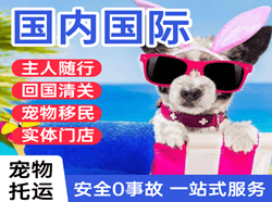博乐阿拉山口航空快递国际宠物托运 【国